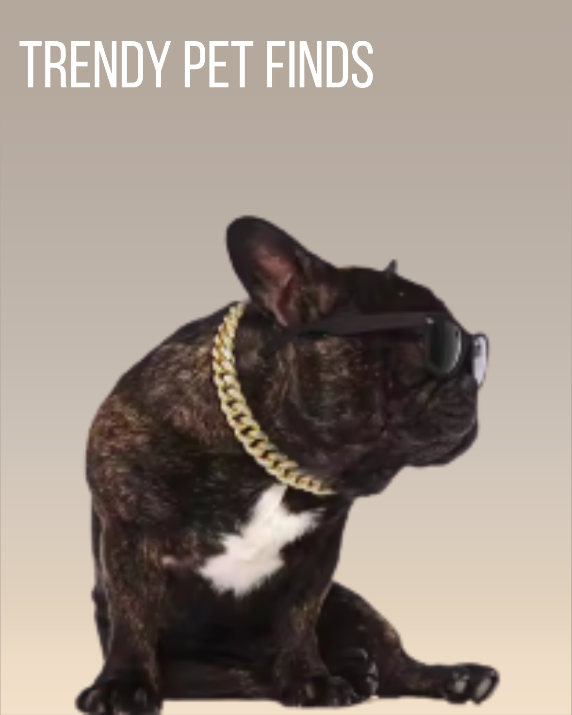 TRENDY PET FINDS