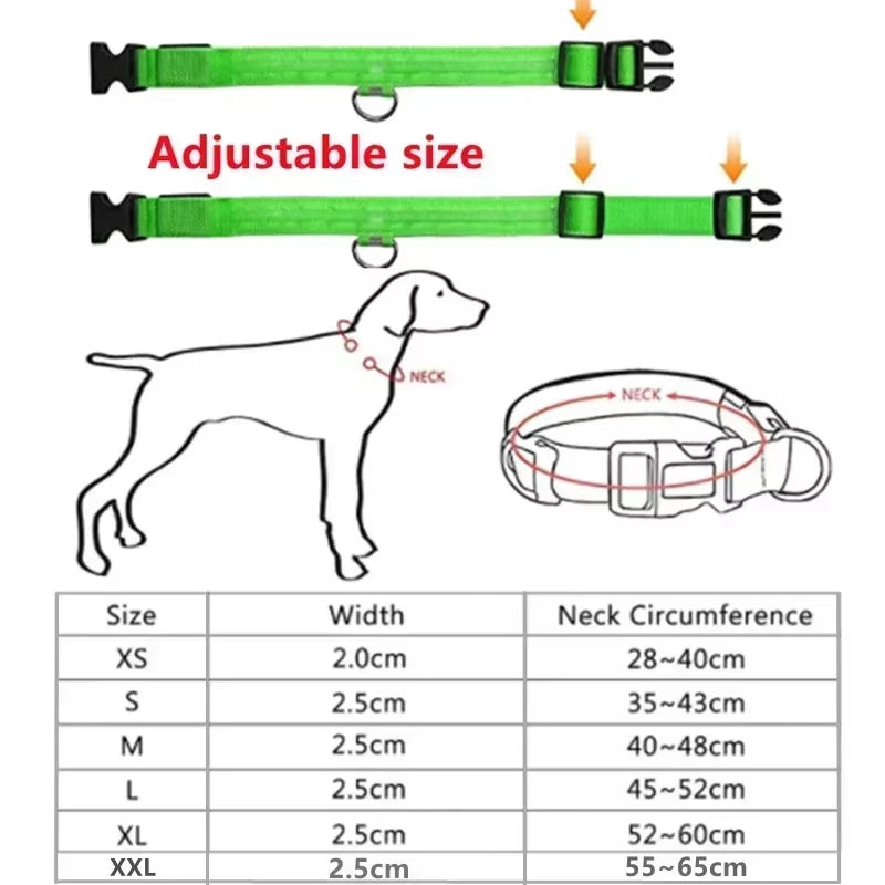 LED Glowing Dog Collar Adjustable Flashing Rechargea Luminous Collar Night Anti-Lost Dog Light Harnessfor Small Dog Pet Products