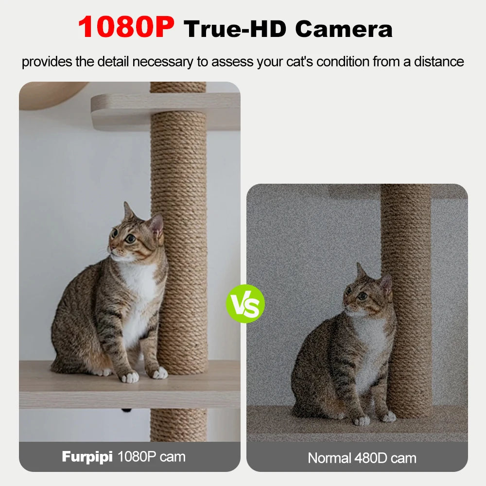 8L Automatic Cat Feeder with 1080P Camera Video 5G Wifi Cat Food Dispenser Pet Smart Voice Recorder Tuya APP Pet Auto Feeder